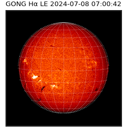 gong - 2024-07-08T07:00:42