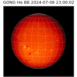 gong - 2024-07-08T23:00:02