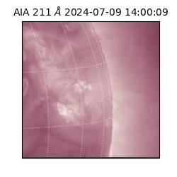 saia - 2024-07-09T14:00:09.626000