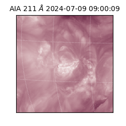 saia - 2024-07-09T09:00:09.626000