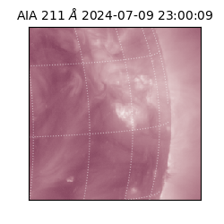 saia - 2024-07-09T23:00:09.633000