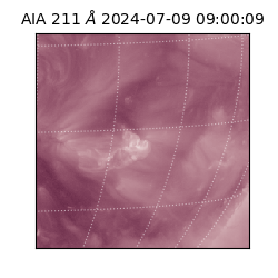 saia - 2024-07-09T09:00:09.626000