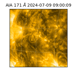 saia - 2024-07-09T09:00:09.352000