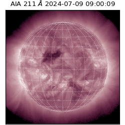 saia - 2024-07-09T09:00:09.626000