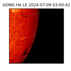 gong - 2024-07-09T03:00:42