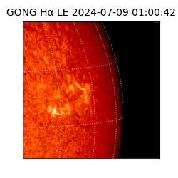 gong - 2024-07-09T01:00:42