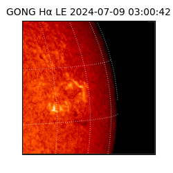 gong - 2024-07-09T03:00:42