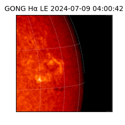 gong - 2024-07-09T04:00:42