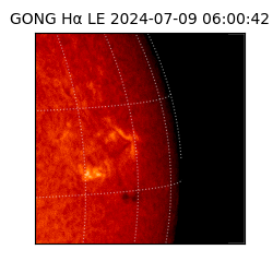 gong - 2024-07-09T06:00:42