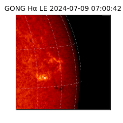 gong - 2024-07-09T07:00:42