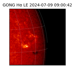 gong - 2024-07-09T09:00:42