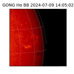 gong - 2024-07-09T14:05:02