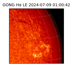 gong - 2024-07-09T01:00:42