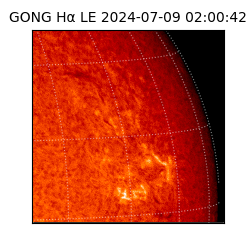 gong - 2024-07-09T02:00:42