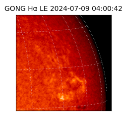 gong - 2024-07-09T04:00:42