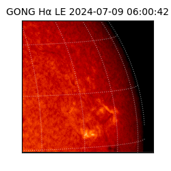 gong - 2024-07-09T06:00:42