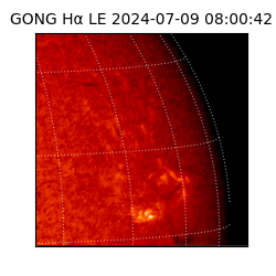 gong - 2024-07-09T08:00:42