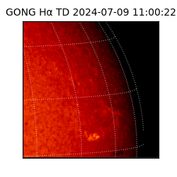 gong - 2024-07-09T11:00:22