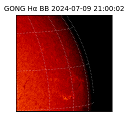 gong - 2024-07-09T21:00:02