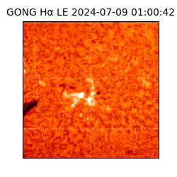 gong - 2024-07-09T01:00:42