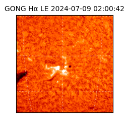 gong - 2024-07-09T02:00:42