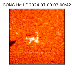 gong - 2024-07-09T03:00:42