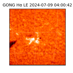 gong - 2024-07-09T04:00:42