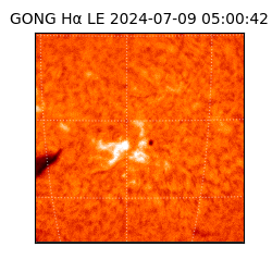 gong - 2024-07-09T05:00:42