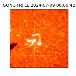 gong - 2024-07-09T06:00:42