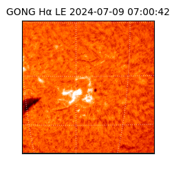 gong - 2024-07-09T07:00:42