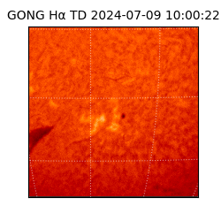 gong - 2024-07-09T10:00:22