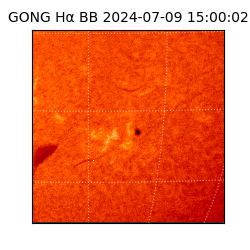 gong - 2024-07-09T15:00:02