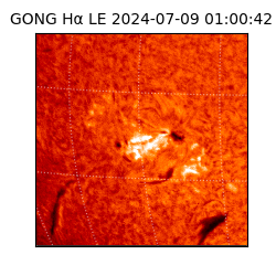 gong - 2024-07-09T01:00:42
