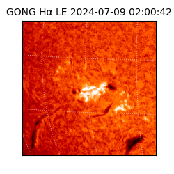 gong - 2024-07-09T02:00:42