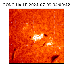 gong - 2024-07-09T04:00:42