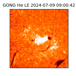 gong - 2024-07-09T09:00:42