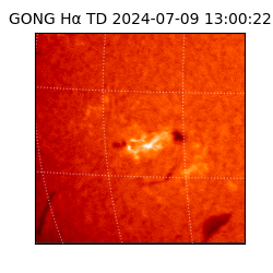 gong - 2024-07-09T13:00:22