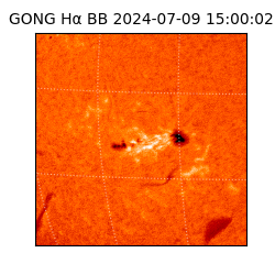 gong - 2024-07-09T15:00:02