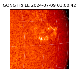 gong - 2024-07-09T01:00:42