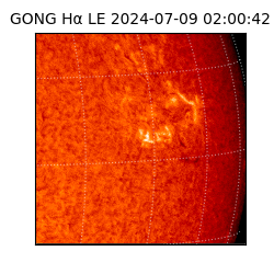 gong - 2024-07-09T02:00:42