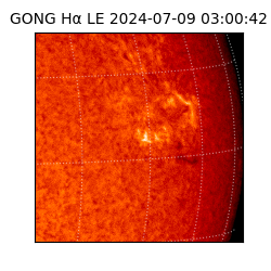gong - 2024-07-09T03:00:42