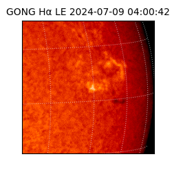 gong - 2024-07-09T04:00:42