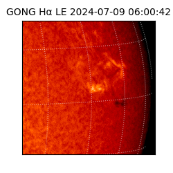 gong - 2024-07-09T06:00:42