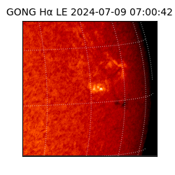 gong - 2024-07-09T07:00:42