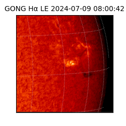 gong - 2024-07-09T08:00:42