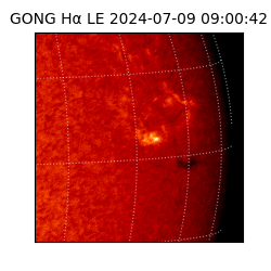 gong - 2024-07-09T09:00:42