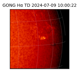 gong - 2024-07-09T10:00:22