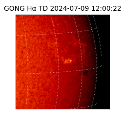 gong - 2024-07-09T12:00:22