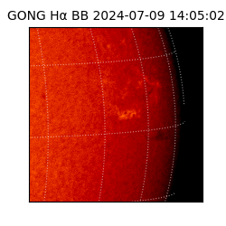 gong - 2024-07-09T14:05:02