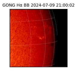 gong - 2024-07-09T21:00:02